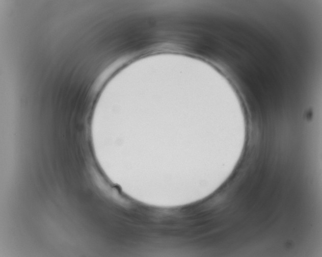 X0000113151341200910161211