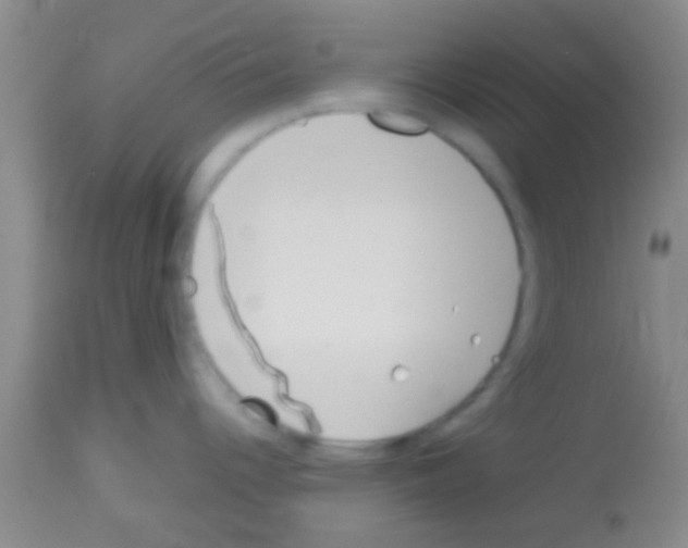 X0000113151344200910161211