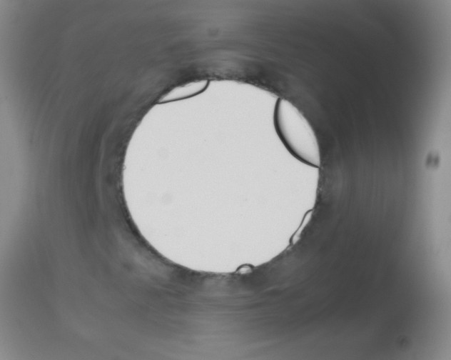 X0000113151345200910161210