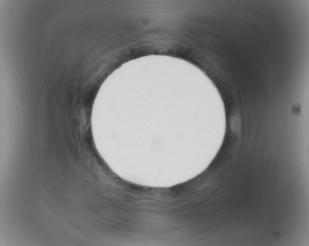 X0000113151347200910161210