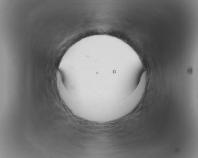 X0000113151349200910161210