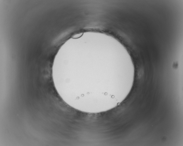 X0000113151350200910161210