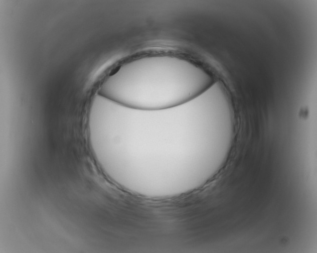 X0000113151352200910161210