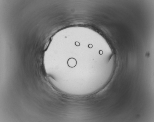 X0000113151353200910161210