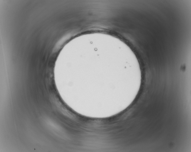 X0000113151355200910161210