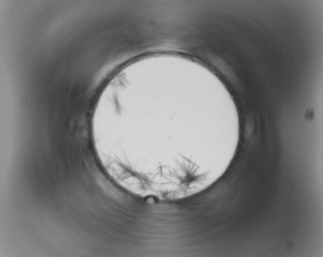 X0000113151356200910161210