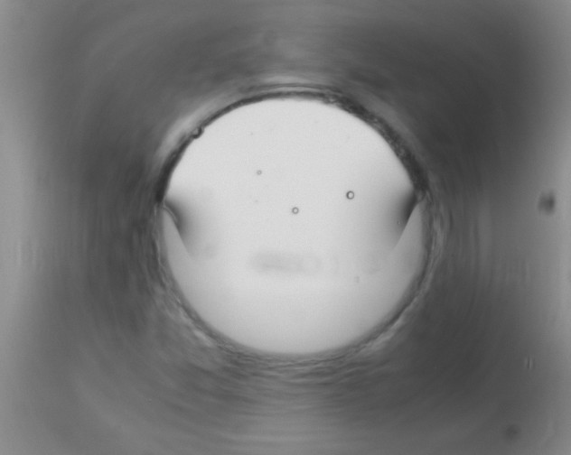 X0000113151357200910161210