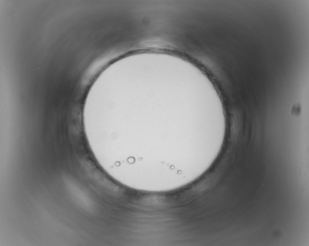 X0000113151358200910161210