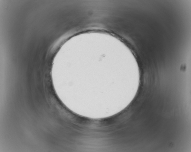 X0000113151359200910161210