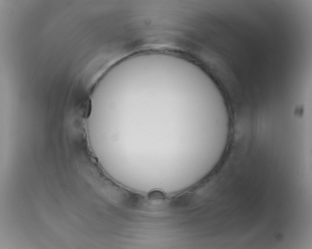 X0000113151361200910161210