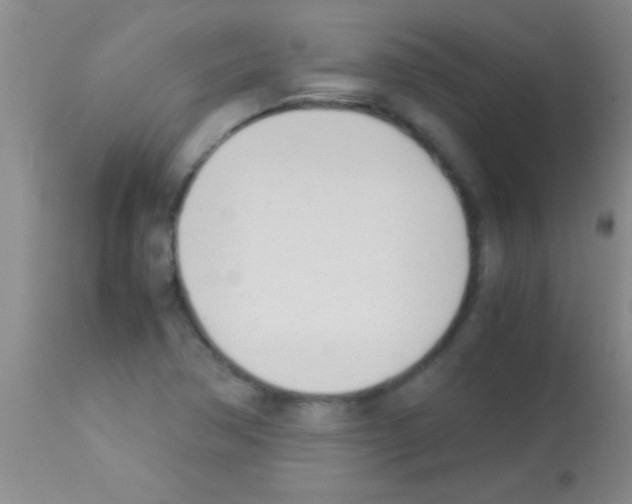 X0000113151362200910161210