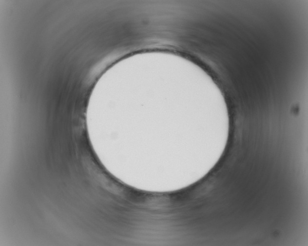 X0000113151363200910161210