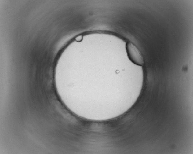 X0000113151364200910161210