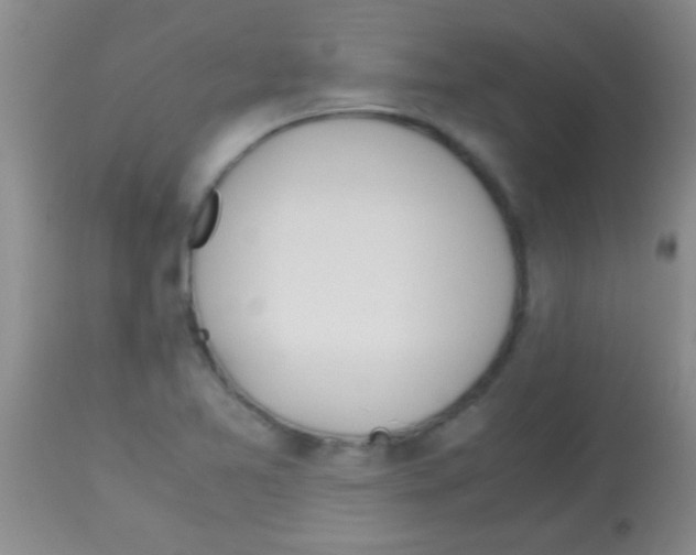 X0000113151365200910161210