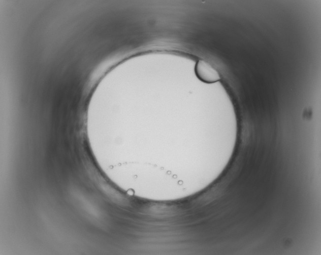 X0000113151366200910161210