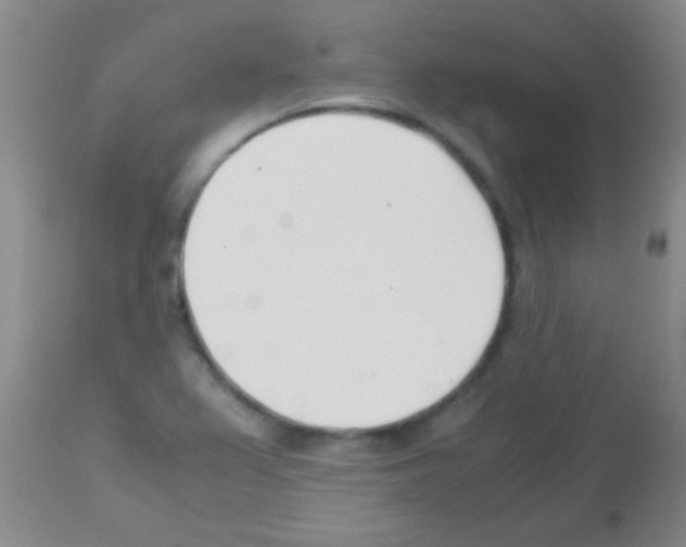 X0000113151367200910161210