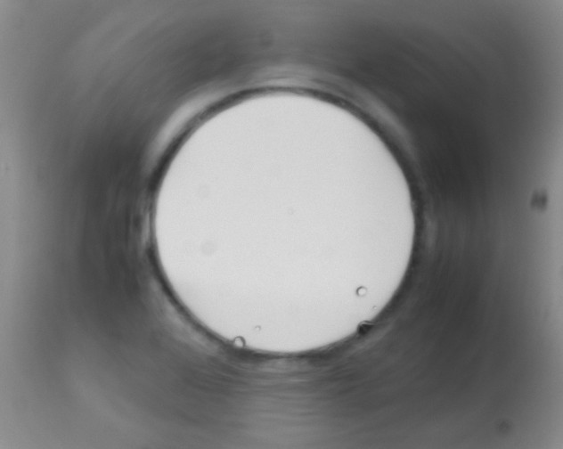 X0000113151368200910161210