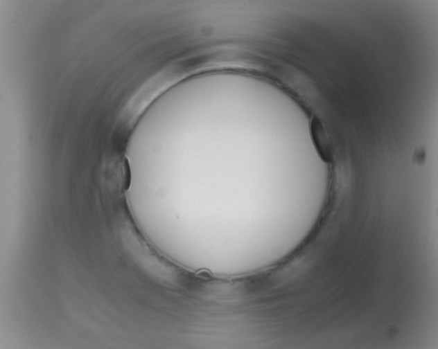 X0000113151369200910161210