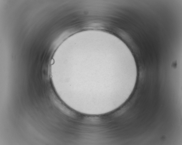 X0000113151370200910161210