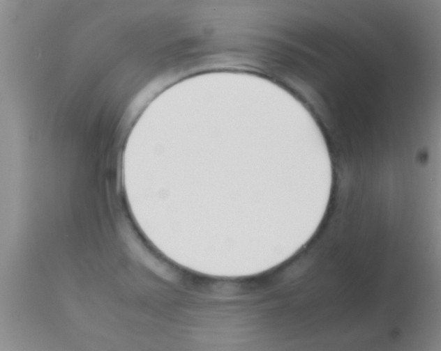 X0000113151371200910161210