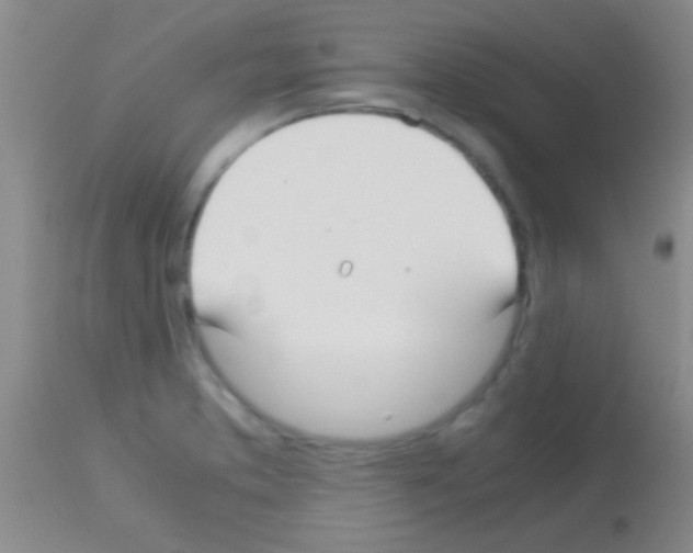 X0000113151373200910161210