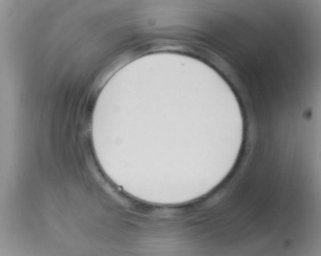 X0000113151377200910161210