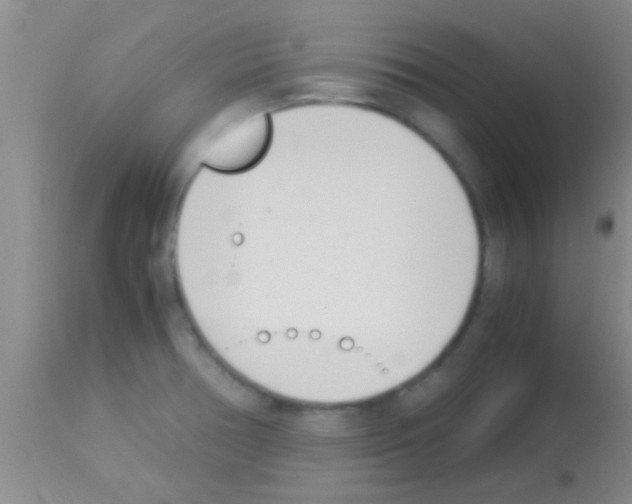 X0000113151378200910161210