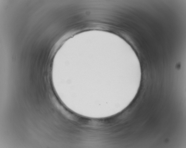 X0000113151379200910161210