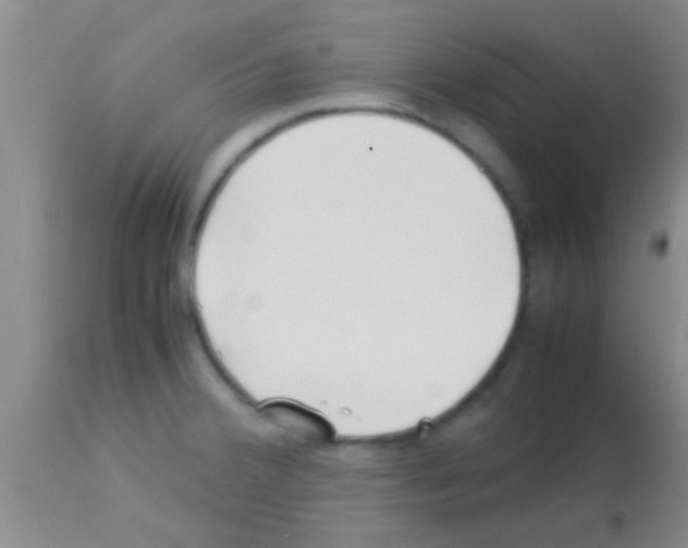 X0000113151380200910161210