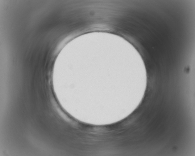 X0000113151383200910161210