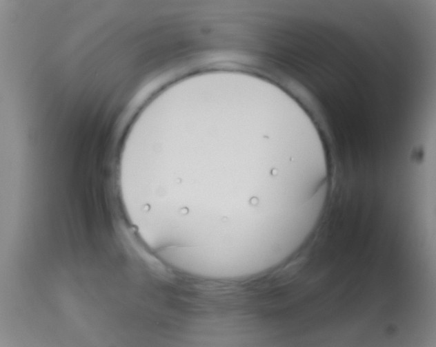 X0000113151384200910161210