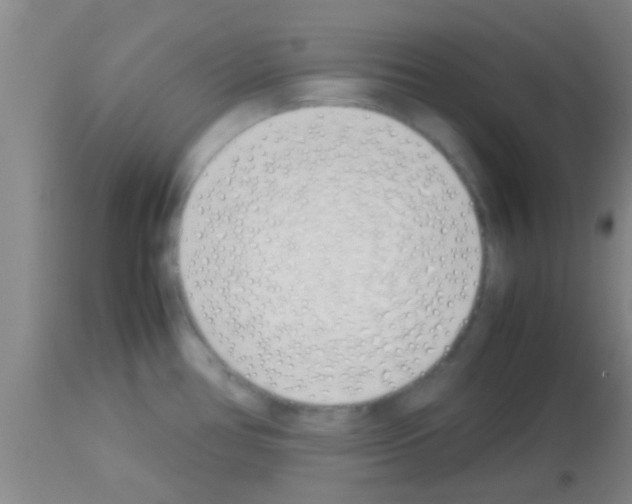 X0000113151386200910161210