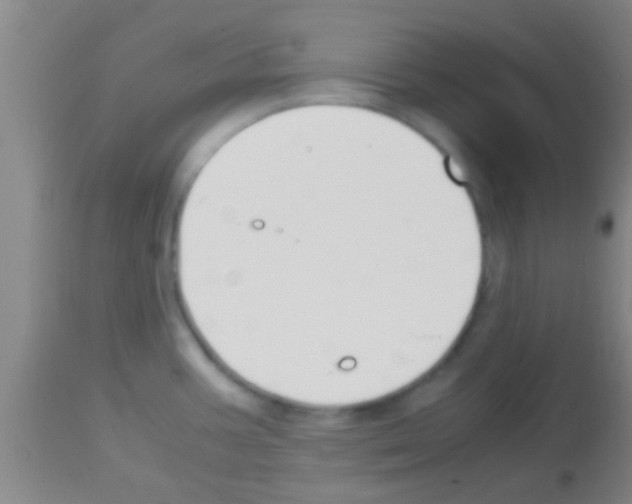 X0000113151387200910161210