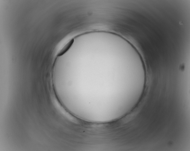 X0000113151389200910161210