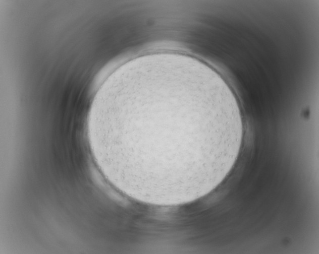 X0000113151390200910161210