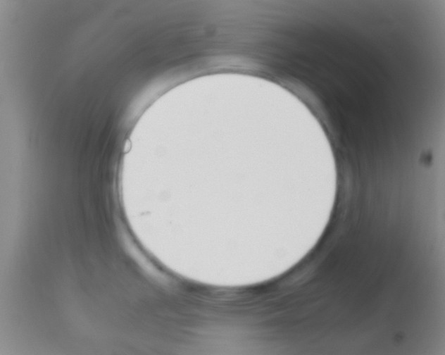 X0000113151391200910161210