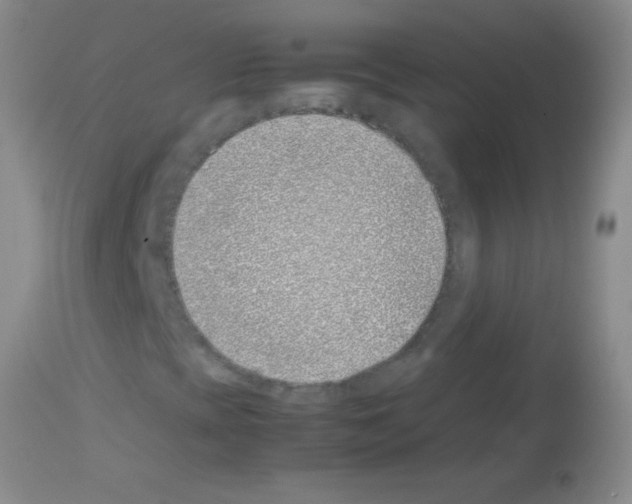 X0000113151393200910161209