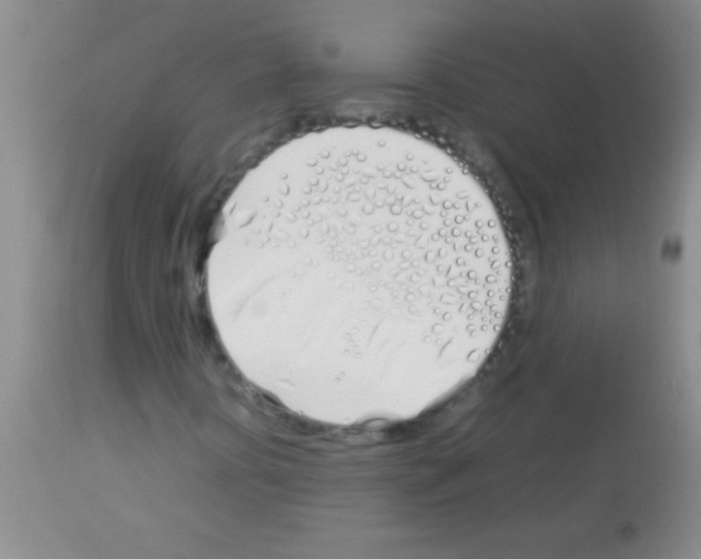 X0000113151394200910161209