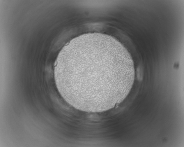 X0000113151395200910161209