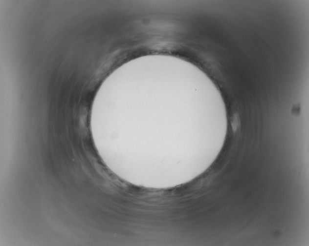 X0000113151396200910161209