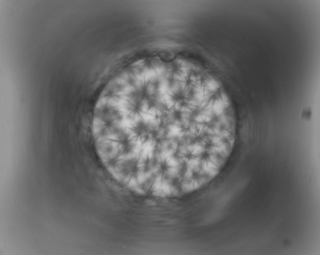 X0000113151397200910161209