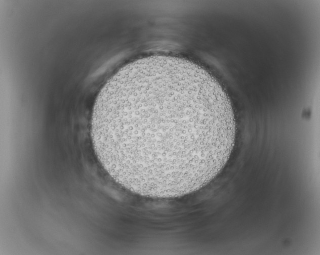 X0000113151399200910161209