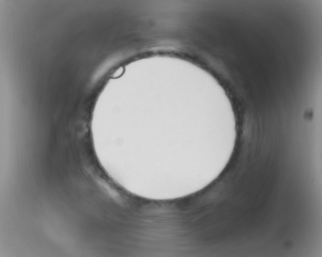 X0000113151400200910161209