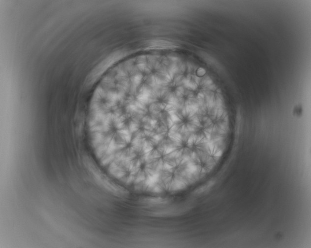 X0000113151401200910161209