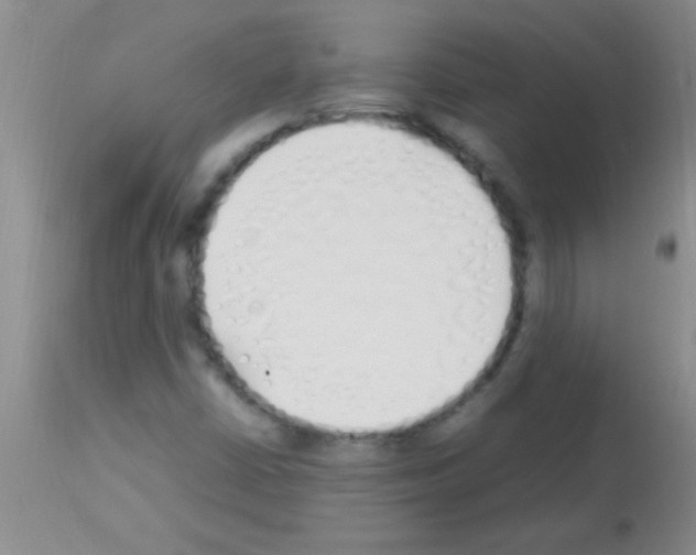 X0000113151402200910161209