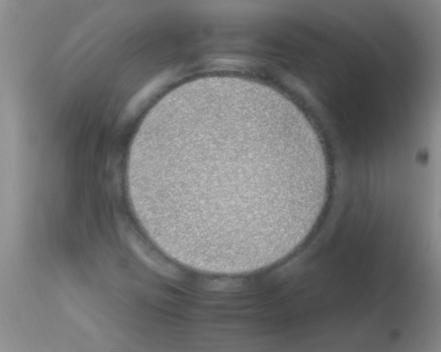 X0000113151403200910161209