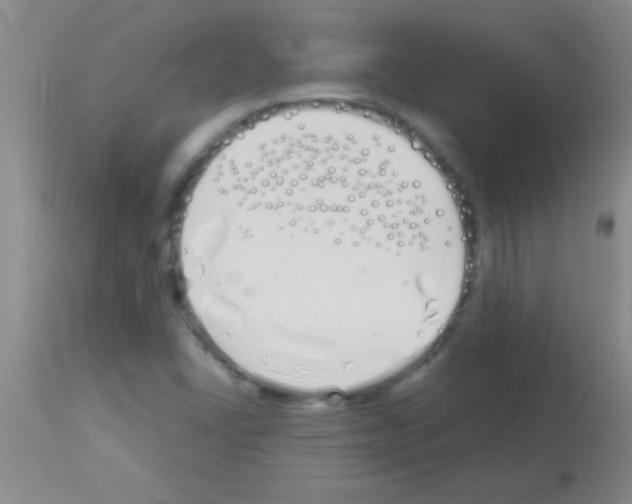 X0000113151406200910161209