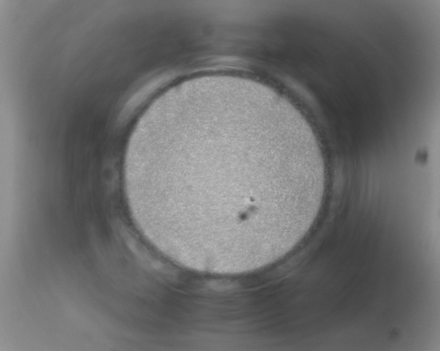 X0000113151407200910161209