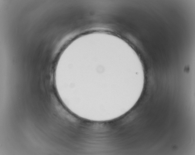 X0000113151408200910161209