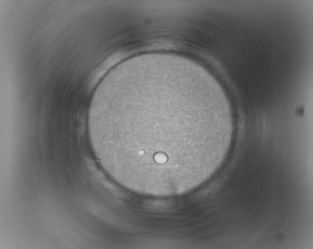 X0000113151409200910161209